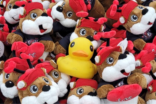 On The Way – USA - Kentucky Buc-ee’s