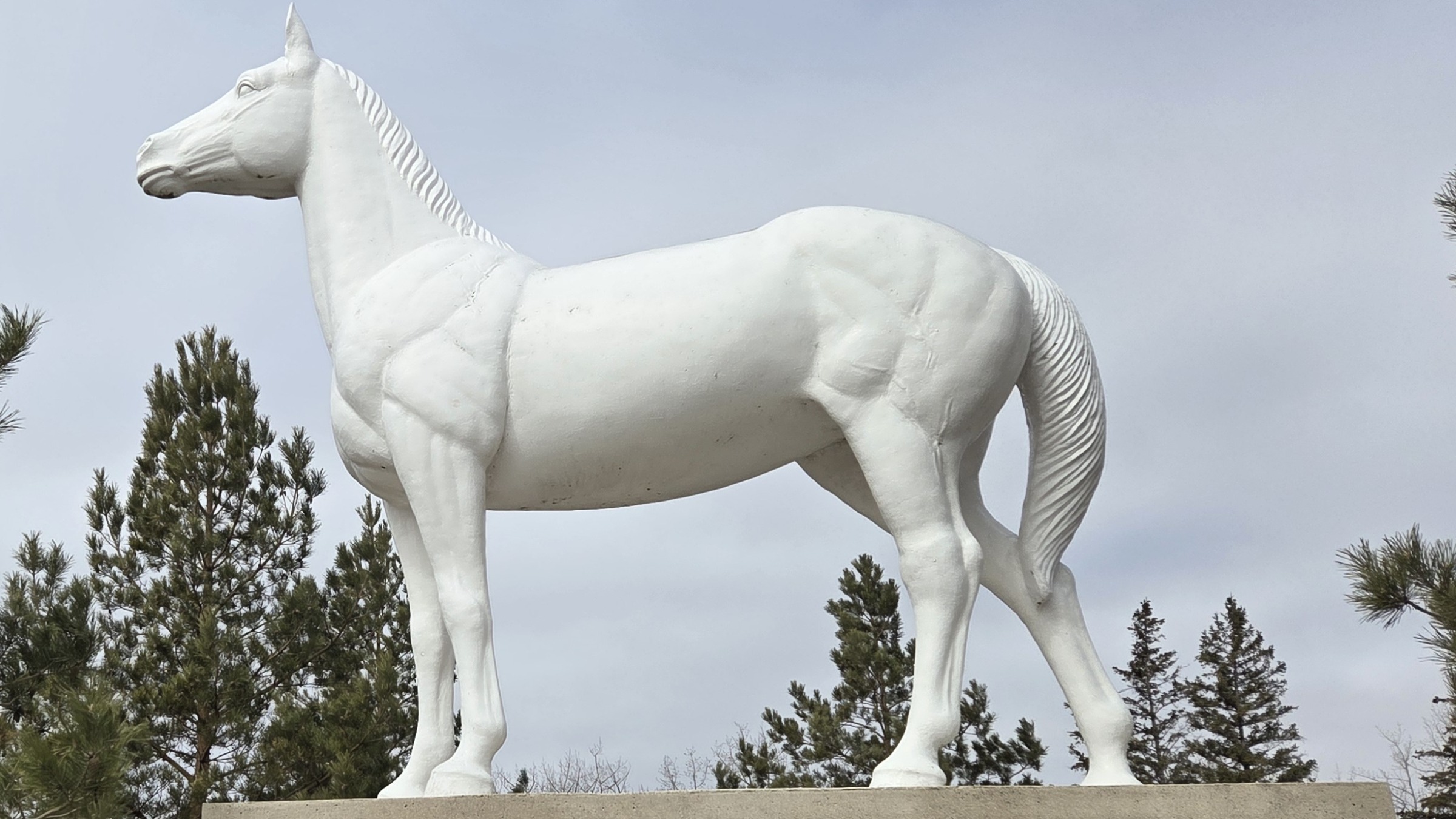 White Horse – St. Francis Xavier, Manitoba