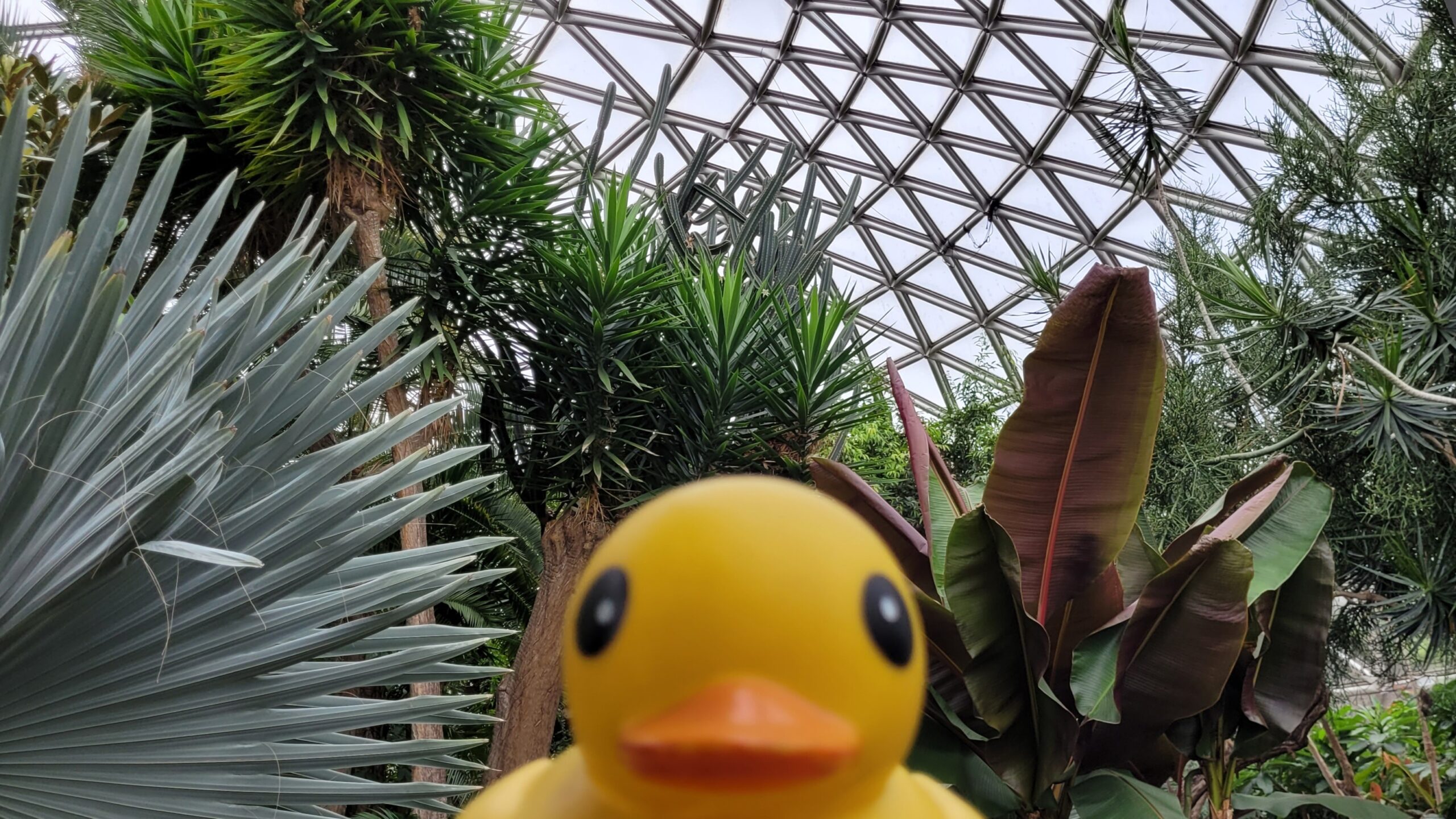 Queen Elizabeth Park – Vancouver, British Columbia