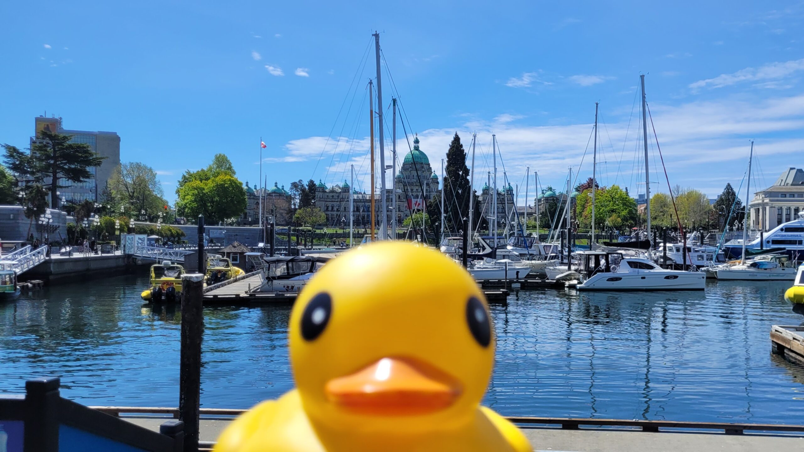 Inner Harbour – Victoria, British Columbia