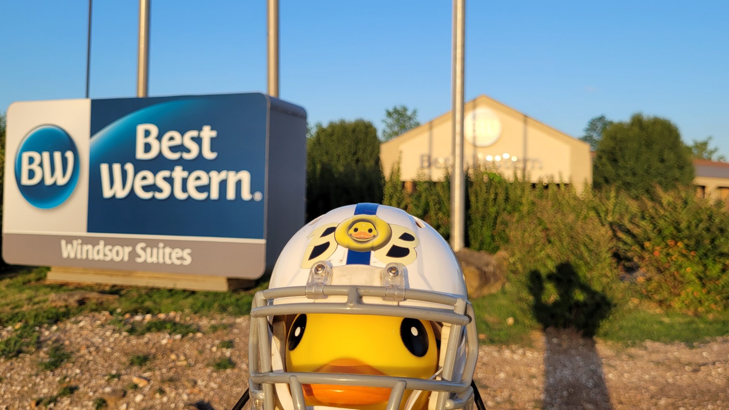 Best Western Windsor Suites – Fayetteville, Arkansas