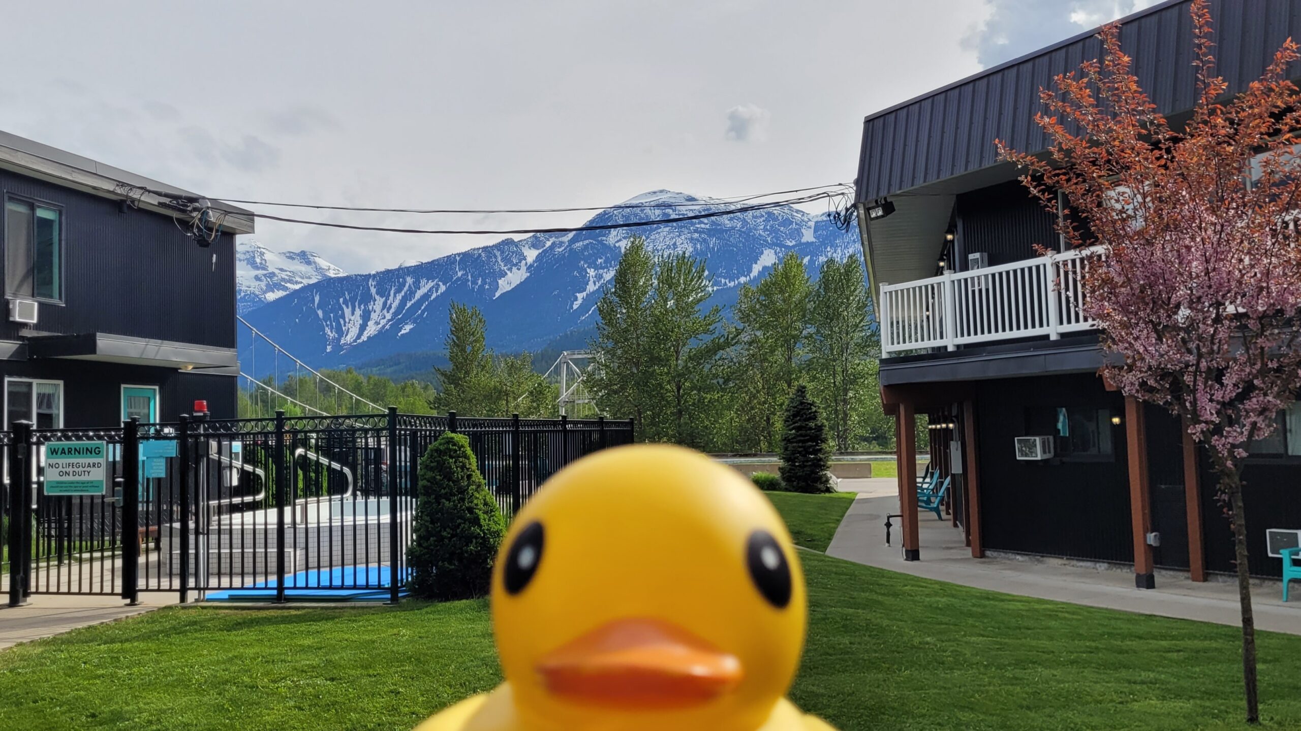 A Town for all Seasons – Revelstoke, British Columbia