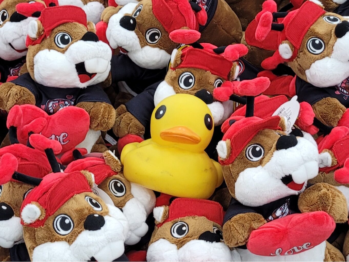 On The Way – USA - Kentucky Buc-ee’s