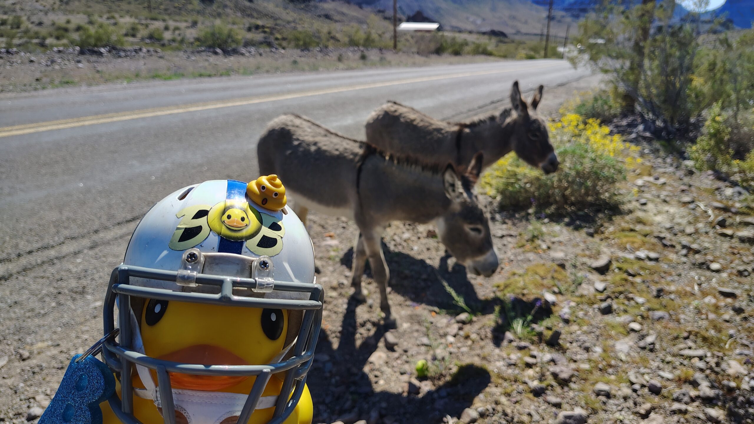 Ghostown – Oatman, Arizona