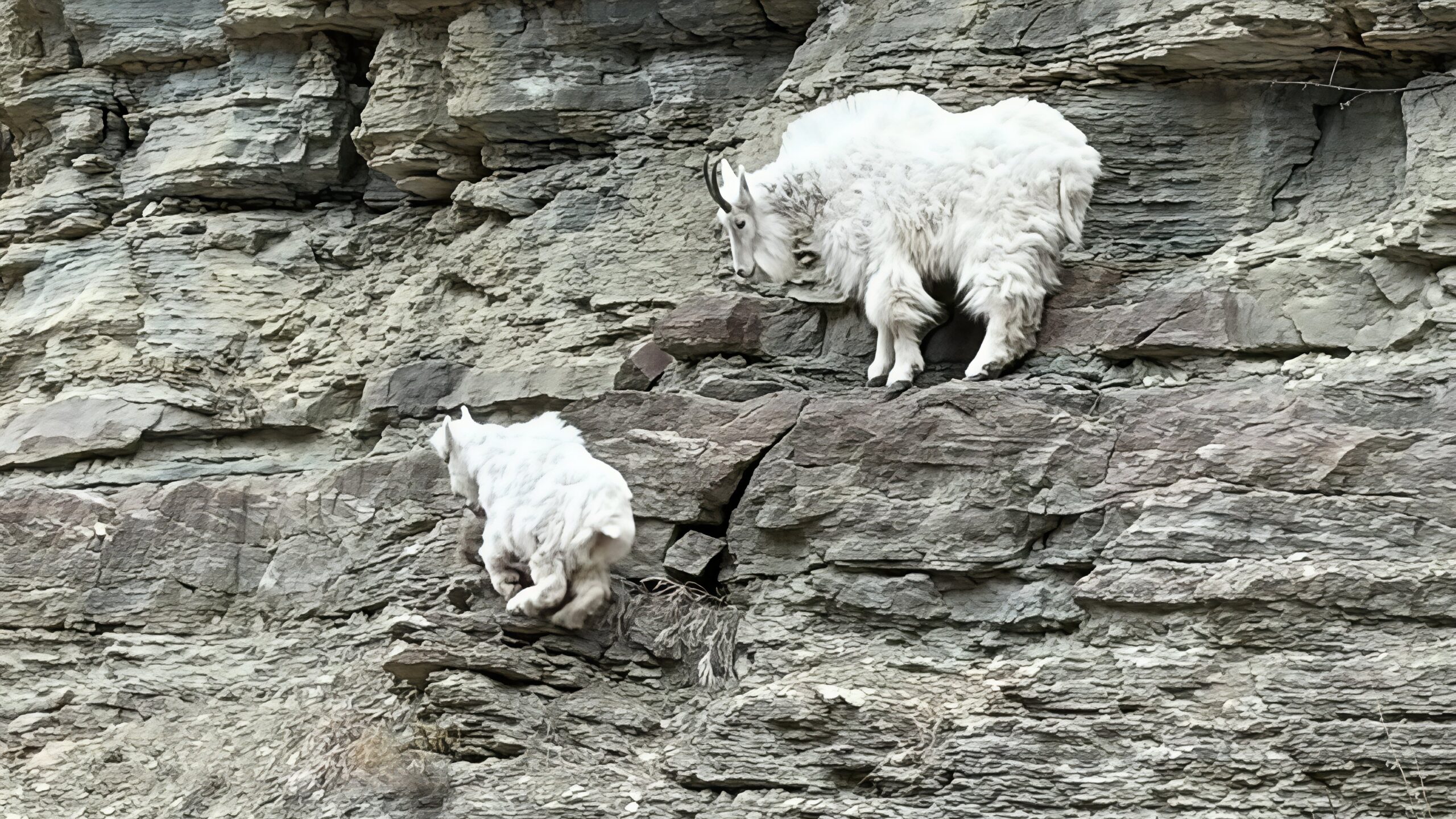 Spearfish Canyon Byway – South Dakota