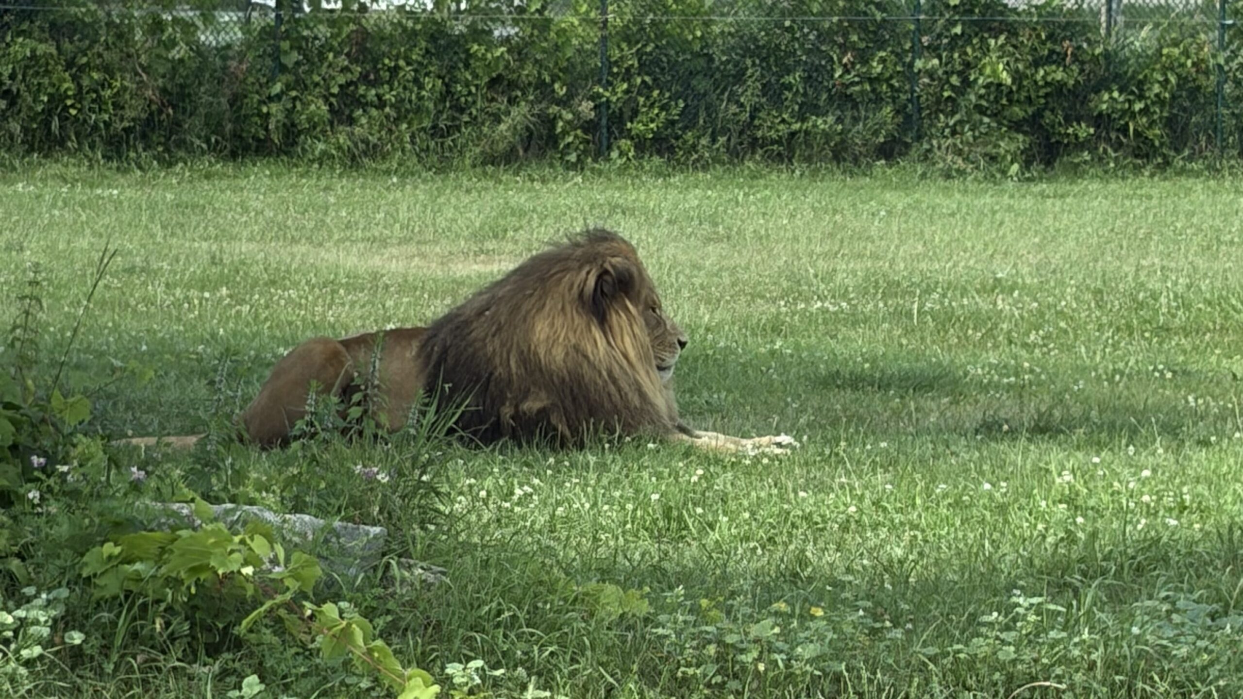 African Lion Safari – Hamilton, Ontario